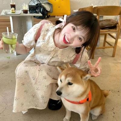 调查者：仅供执勤 海报